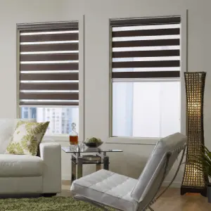 Blinds Hub Zebra/Dual Blinds for Home in Caledon
